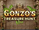 logo gonzos treasure hunt