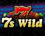 7s Wild