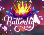 Butterfly Staxx