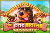 dog house unique casino