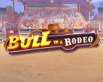 Bull in a Rodeo